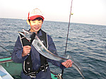 1246_large
