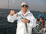 1248_large