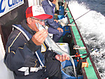 1253_large