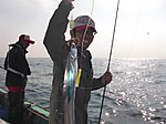1256_large