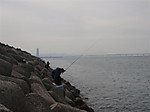 1281_medium