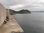1294_large