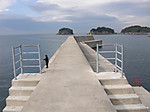 1296_large