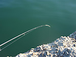 1306_medium
