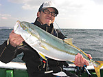 1334_large
