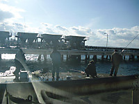 1343_medium