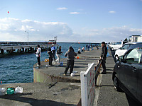 1345_medium