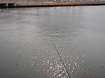 1349_medium