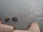 1350_medium