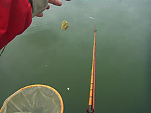 018_small