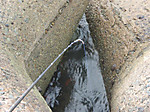 1367_medium