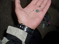 P1010055_medium_2