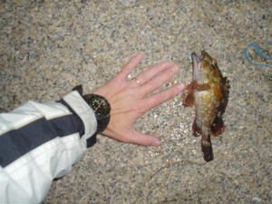 Photo_8