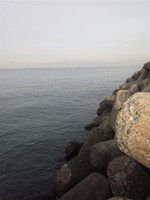 Medium_3