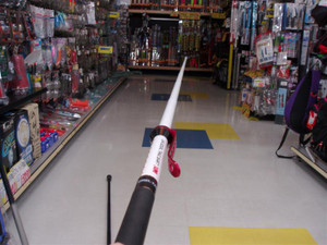 Photo_3