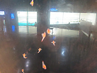 Img_0149_2