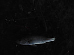 Photo_2