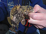 1395_large