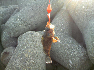 Photo_4