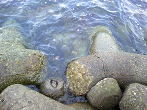 Photo_5