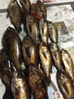 Photo_15