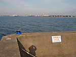 1434_medium