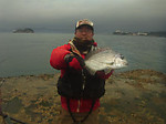 2013_005_medium