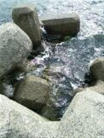Photo_10