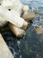 Photo_11