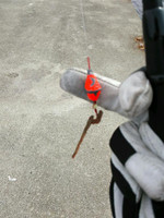 Photo_12