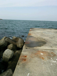 Photo_6