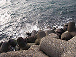 1449_medium