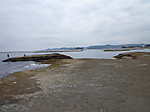 P1020010_medium