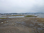 P1020015_medium