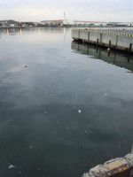 Img_20130423_182634589_medium