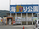 001_large_3