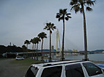 8_medium_2