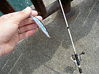Photo_10