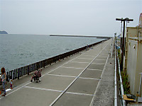 Photo_7
