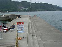 Photo_8