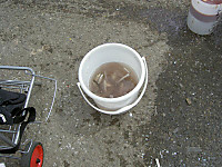 Photo_9