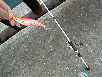 Pict5398_medium_2