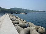 P1020045_medium