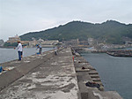 P6100210_medium