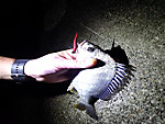 Img_20130624_200301734_medium
