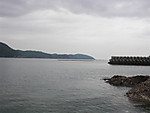 004_large_2