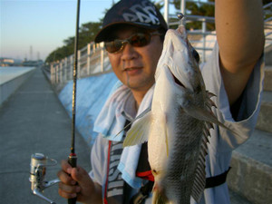 Pict5431_medium
