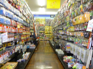 P1000100_medium