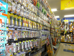 P1000102_medium