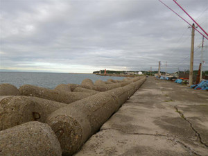 P1000111_medium